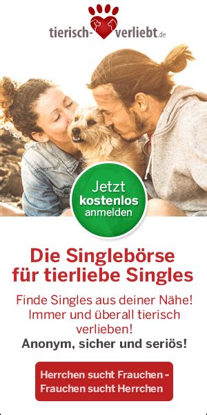 ficken hund|So funktioniert Sex bei Hunden 